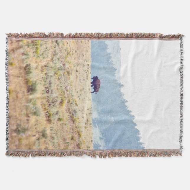 Lamar Filt (Framsidan)