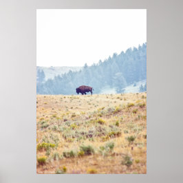 Lamar Poster