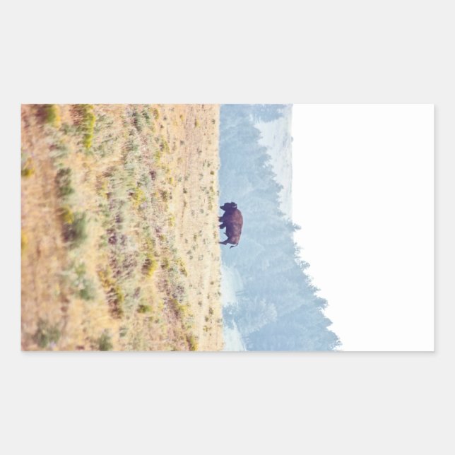 Lamar Rektangulärt Klistermärke (Framsida)