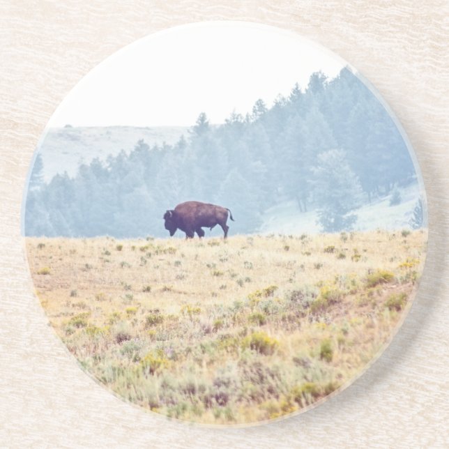 Lamar Underlägg (Framsidan)