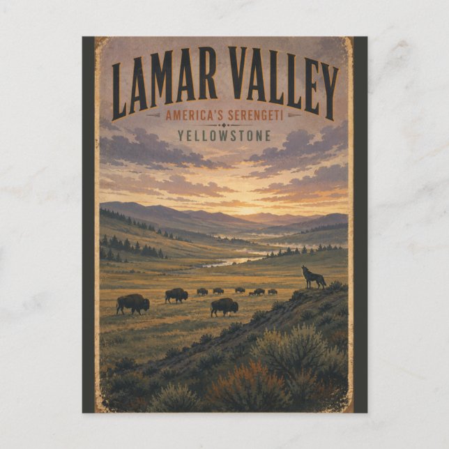 Lamar Valley Yellowstone Vintage Wildlife Resa Vykort (Framsida)