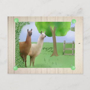 Lamas Vykort