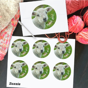 Lamb Ansikte Tack Wool Business Runt Klistermärke