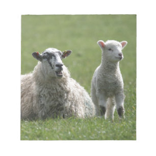 Lamb Anteckningsblock
