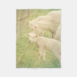 Lamb Baby djur Sheep Fleecefilt