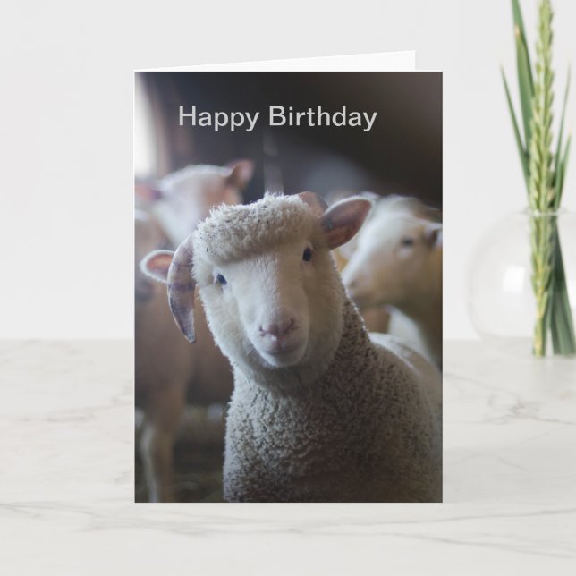 Lamb Grattis på födelsedagen Card Kort (Framsida)