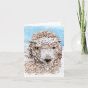 Lamb i vinter kort