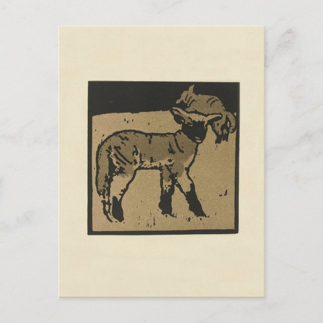 Lamb - Illustration av kvadratiska djur Vykort (Framsida)