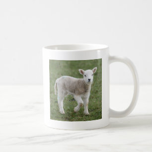 LAMB KAFFEMUGG