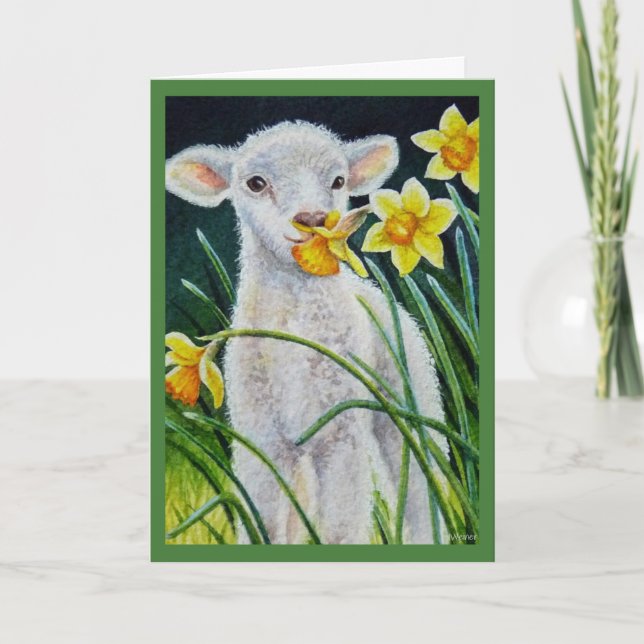 Lamb och vårdaffodiller Akvarellkonst Kort (Framsida)