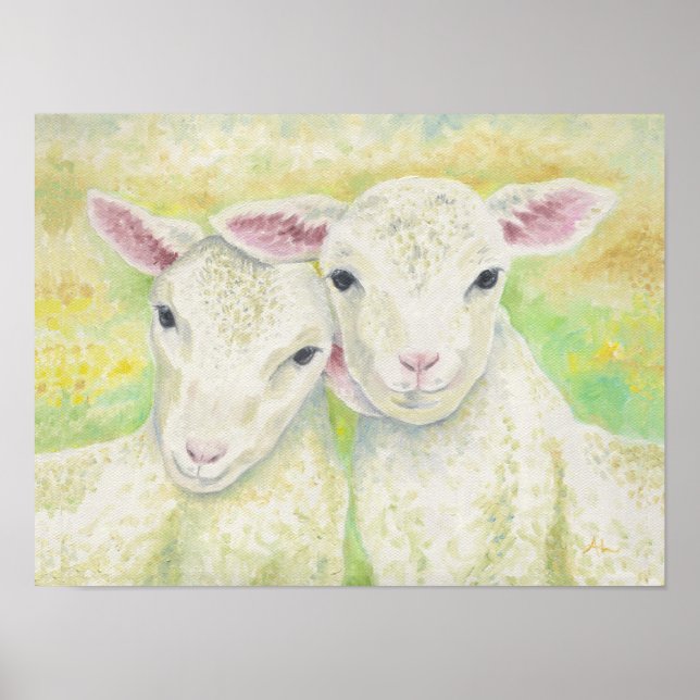 Lamb Pair Poster (Framsidan)