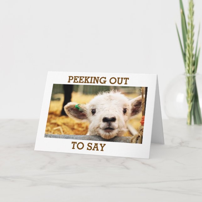 LAMB SÄGER "HA MYCKET GRATTIS PÅ FÖDELSEDAGEN" HELGKORT (Framsida)