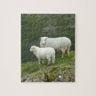 Lamb & Sheep - Scottland/ British Countryside Pussel