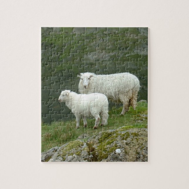 Lamb & Sheep - Scottland/ British Countryside Pussel (Vertikal)