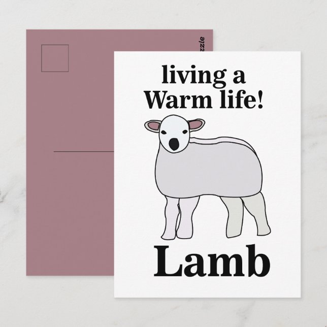 Lamb som lever en varm livstid och en fin lampa vykort (Fram/baksida)