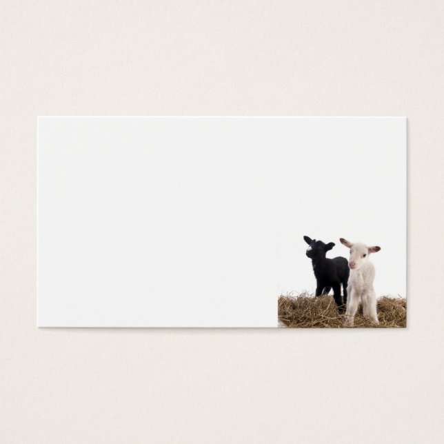 lamb visitkort (Framsidan)