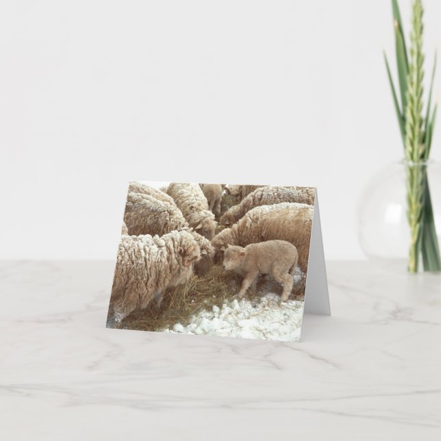 Lambanteckningskort Kort (Framsida)