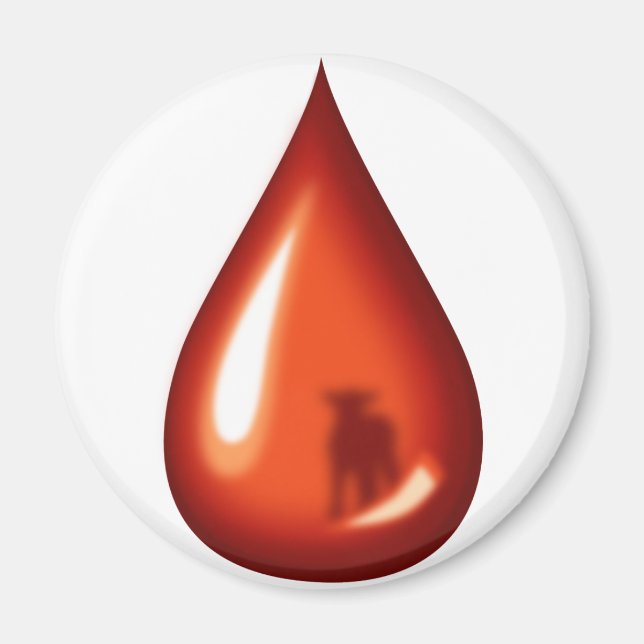 Lambblodet - Jesus Magnet (Framsidan)