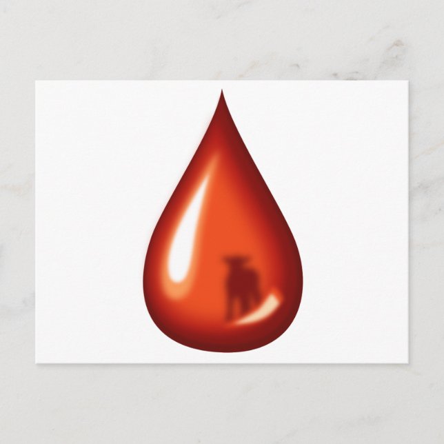 Lambblodet - Jesus Vykort (Framsida)