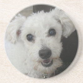 Lambchop II Underlägg Sandsten