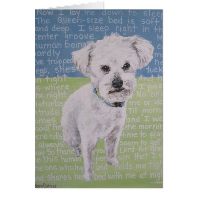 ’Lambchop’ OBS Kort (Framsidan)