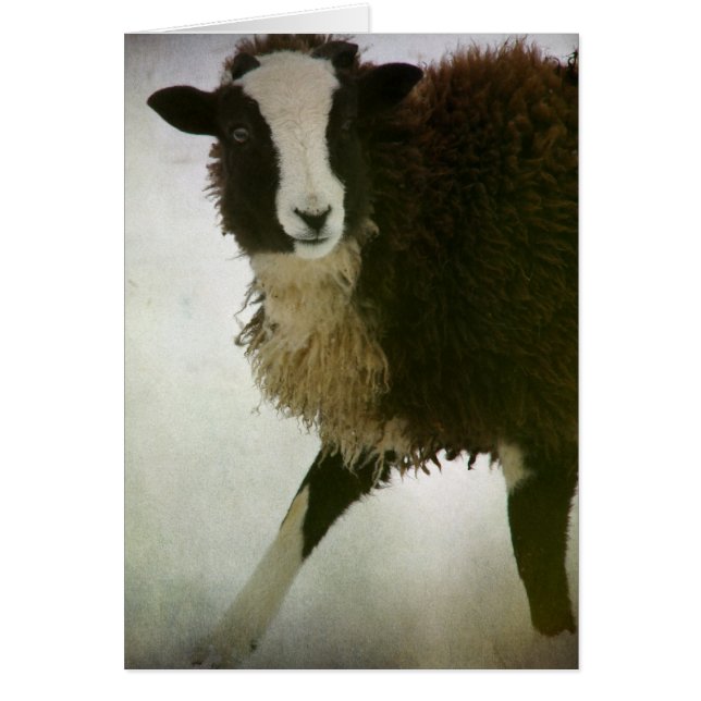 Lambchops jul hälsningskort (Framsidan)