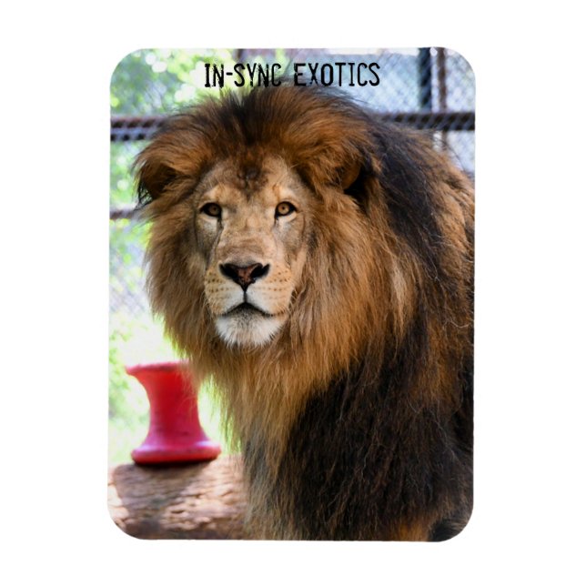 Lamber - magnet (Vertikal)