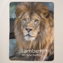 Lambert - 