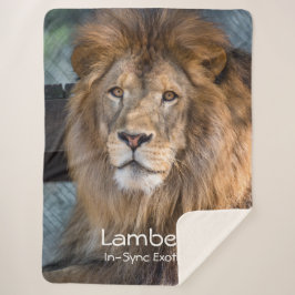 Lambert -