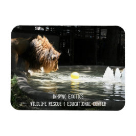 Lambert - Flexible Photo Magnet