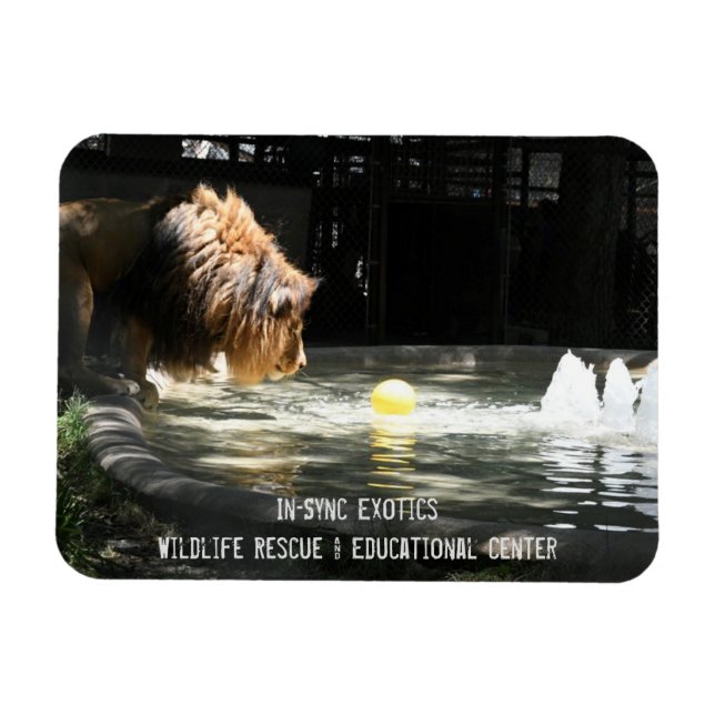 Lambert - Flexible Photo Magnet (Horisontell)