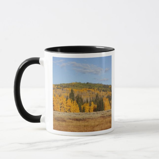 Lambert Hollow, aspenträd Mugg (Vänster)