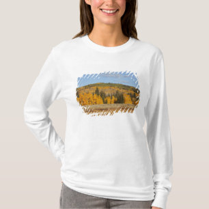 Lambert Hollow, aspsträd T-shirt