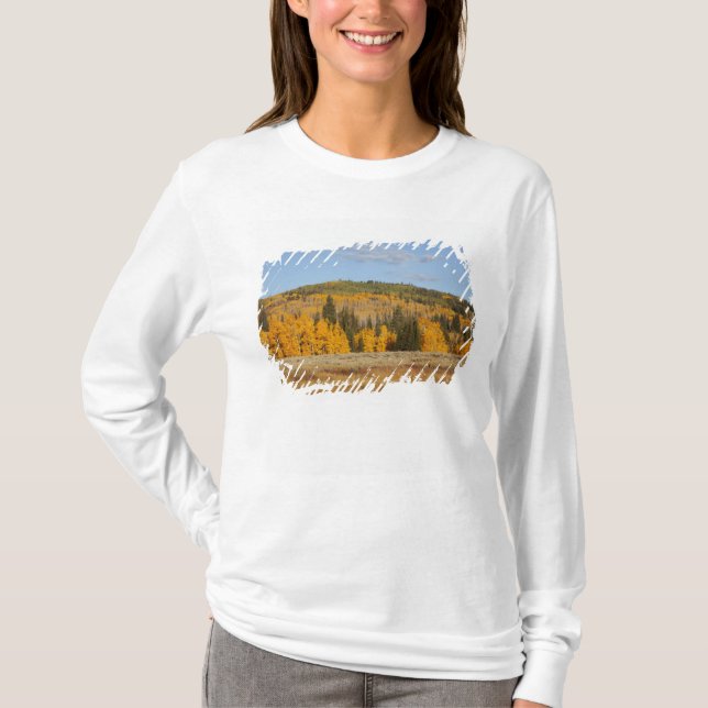 Lambert Hollow, aspsträd T-shirt (Framsida)