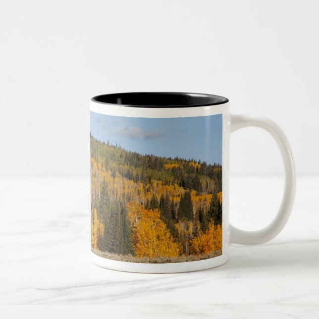 Lambert Hollow, aspsträd Två-Tonad Mugg (Höger)