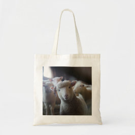 Lambfotototo Tygkasse