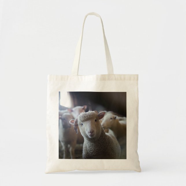 Lambfotototo Tygkasse (Framsidan)