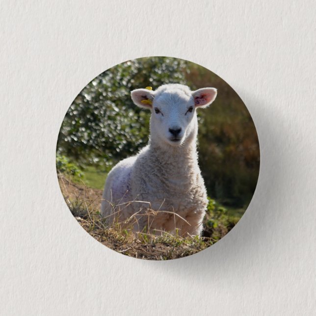 Lambknappen vår Baby / Badge Knapp (Framsida)