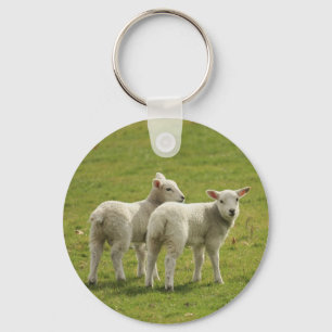 Lambs Nyckelring
