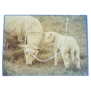 Lambsfågel Baby djur