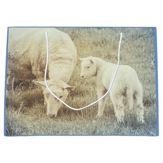 Lambsfågel Baby djur (Framsidan)