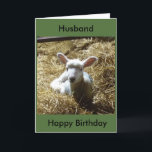 Lambsfåglarnas födelsekort Anpassa födelsedag osv. Kort<br><div class="desc">Det här lilla lammet föddes nyligen på min vängrupp.  Det är så sött!  Underbar att samla in,  skicka eller använda för kardtillverkning.  Kan vara helt personlig eller lämnat tom</div>