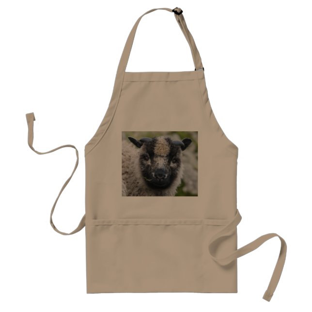 Lambster förkläde (Framsidan)