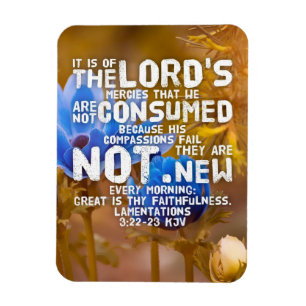 Lamentations 3:22-23 KJV Bible Verse Magnet