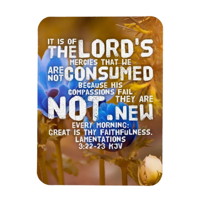Lamentations 3:22-23 KJV Bible Verse Magnet (Vertikal)