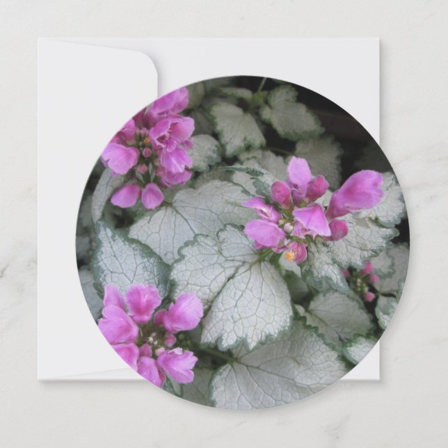 Lamium Maculatum Flower Inbjudningar (Framsida)