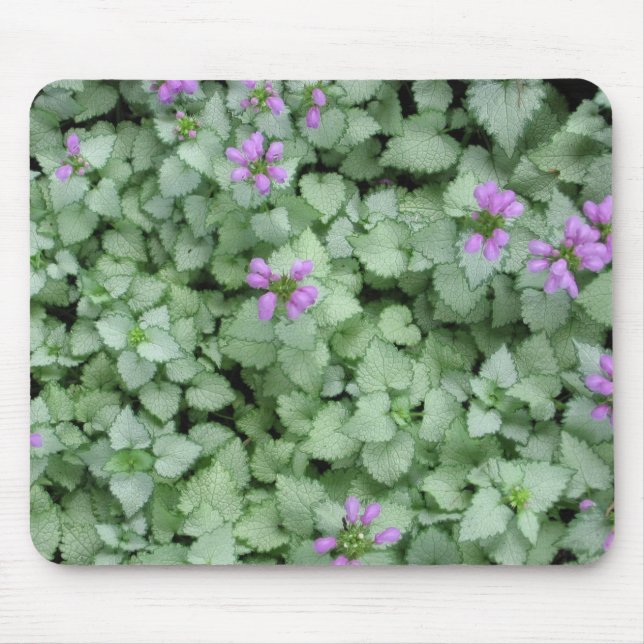 Lamium Mousepad Musmatta (Framsidan)