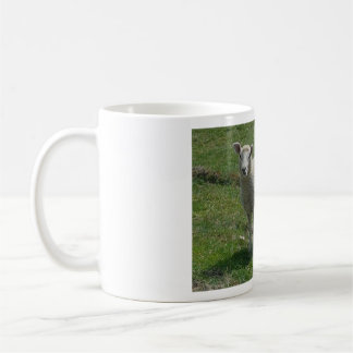 Lamm Bild Kaffemugg