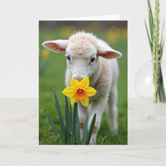 Lamm Och Blomma Vårkort Kort (Framsida)