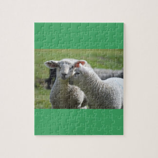 Lamm tillsammans pussel